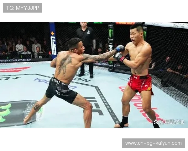 UFC裁判吃误拳，全场立即爆笑